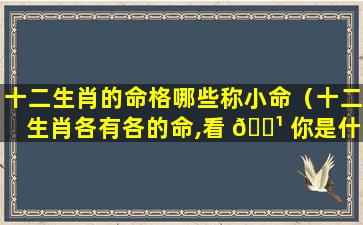 十二生肖的命格哪些称小命（十二生肖各有各的命,看 🌹 你是什么命）